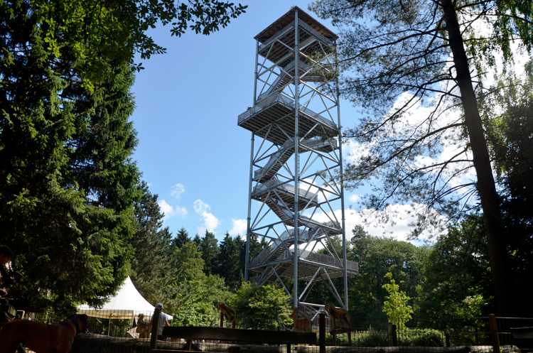 Elbblickturm Wildpark Schwarze Berge
