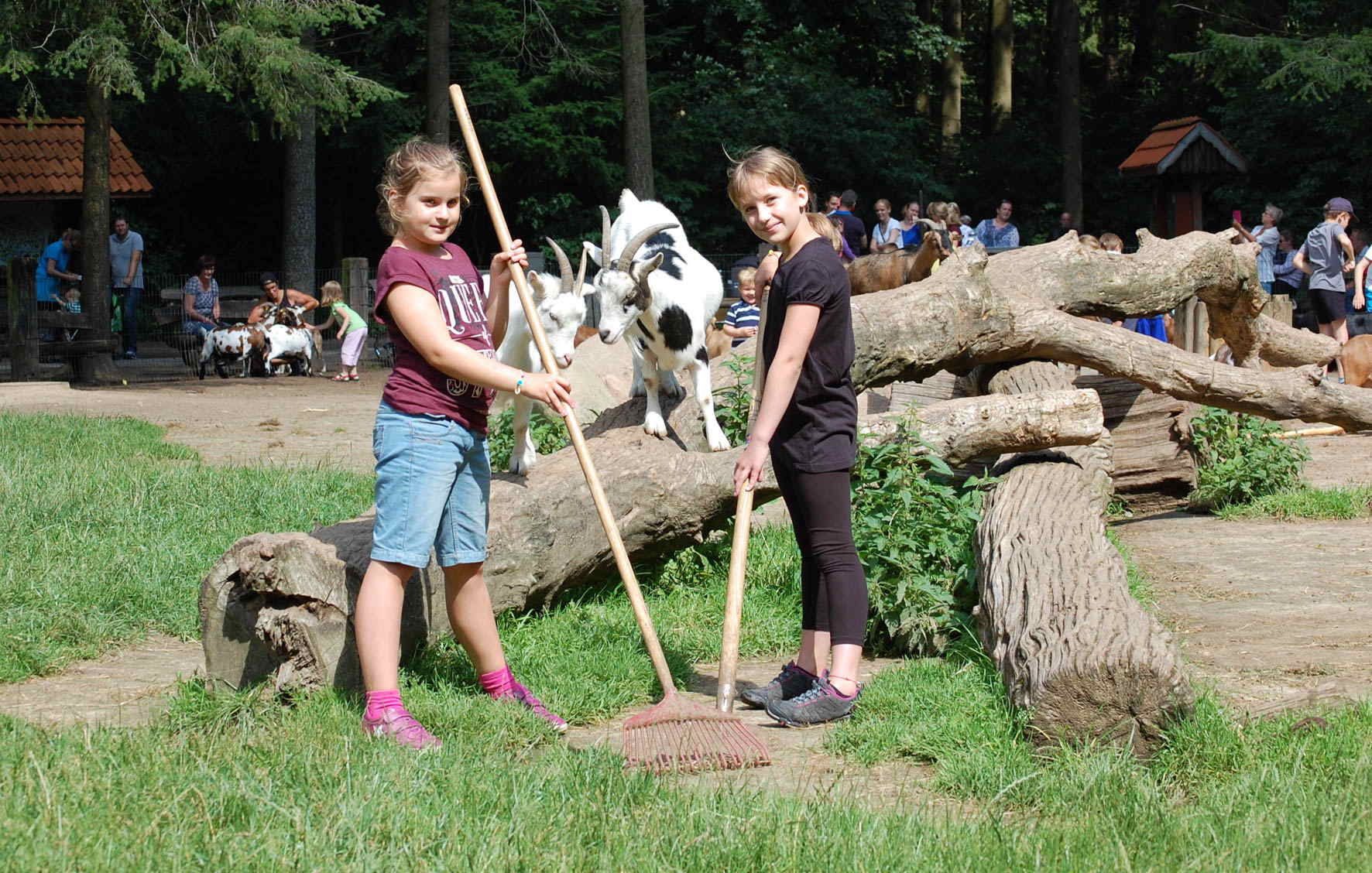 Ferienprogramm Wildpark Schwarze Berge_Einen Tag als Tierpfleger