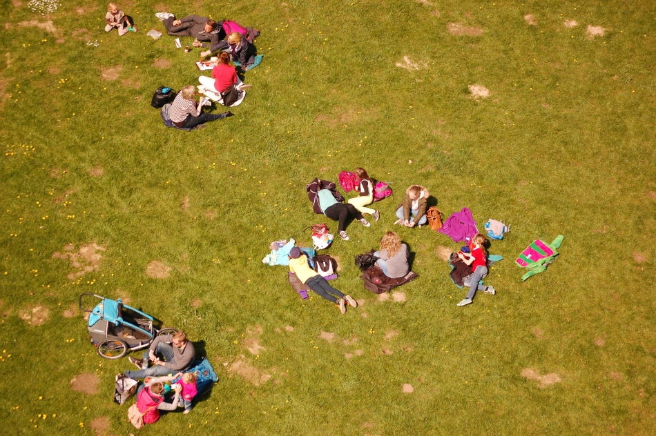 Menschen auf der Picknickwiese im Wildpark Schwarze Berge