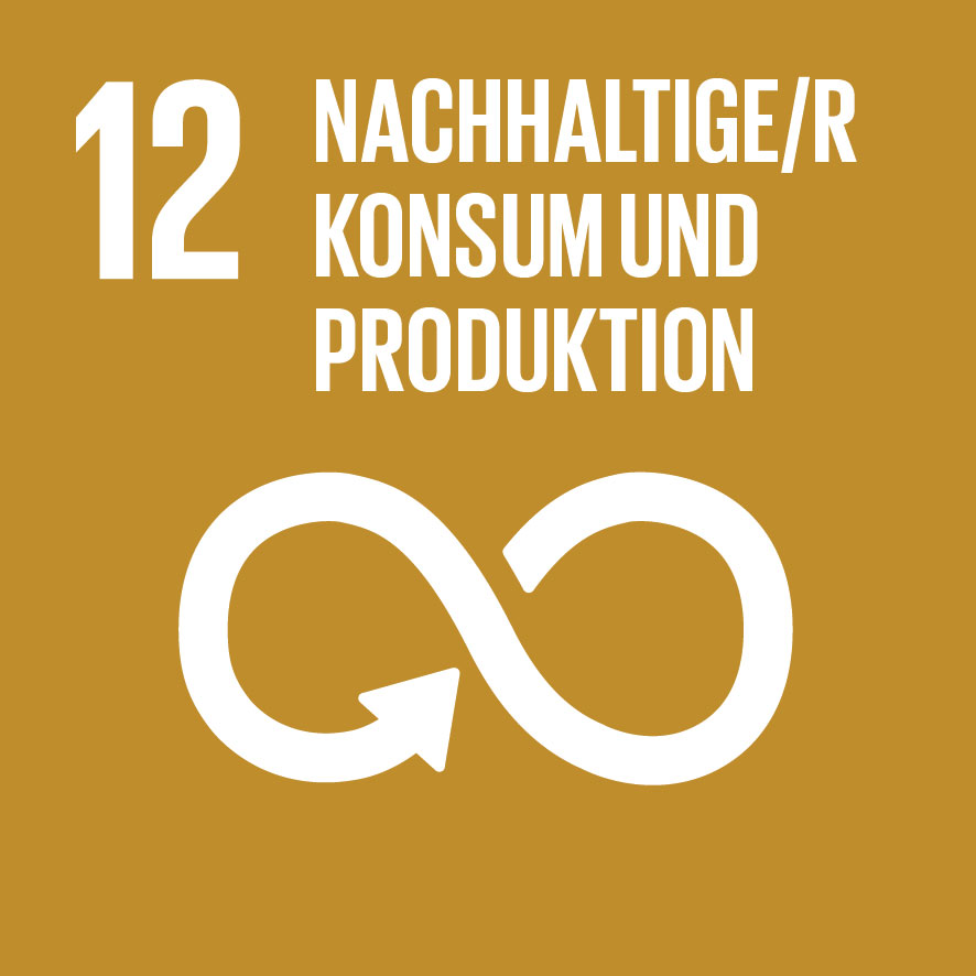 Nachhaltiger Konsum und Produktion SDG