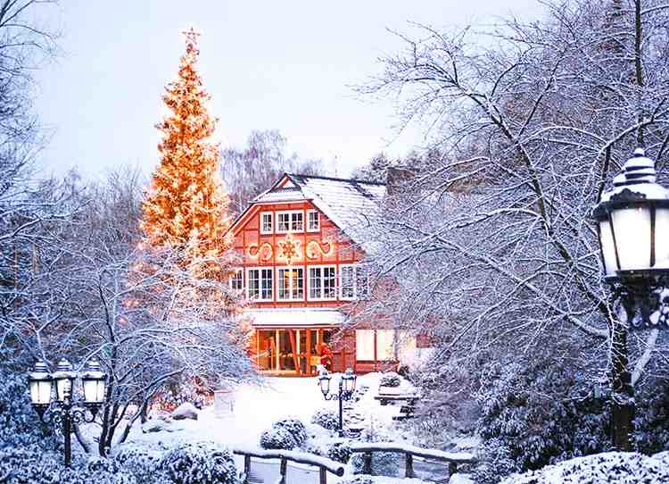 Weihnachten_Schnee_Eingang vom Wildpark Schwarze Berge