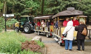 Besucher fahren mit der barriefreien Wildpark-Bahn im Wildpark Schwarze Berge