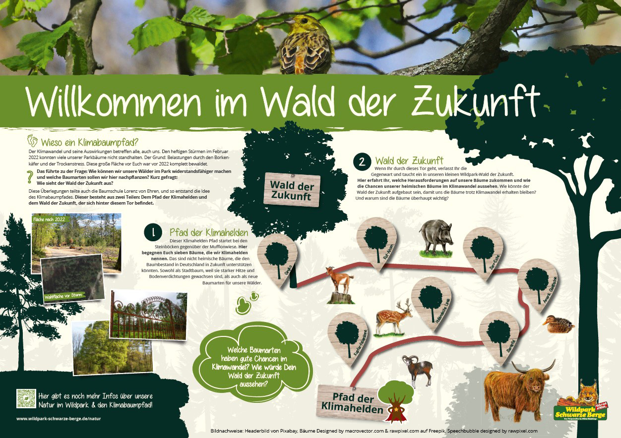 Willkommen der Klimabaumpfad im Wildpark Schwarze Berge 2