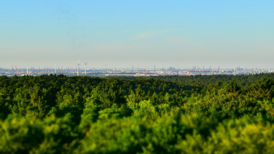 Aussicht vom Elbblickturm im Wildpark Schwarze Berge, Aussicht, Hamburg, Wald, Hafen