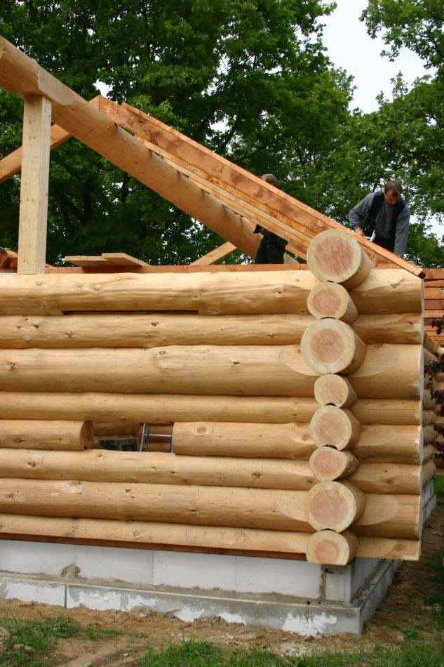 Blockhausbau-Kurs im Wildpark Schwarze Berge, Holz, Handwerk, kreativ, bauen, Kurs
