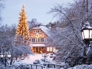 Wildpark Schwarze Berge Eingang im Schnee mit weihnachtlicher Beleuchtung