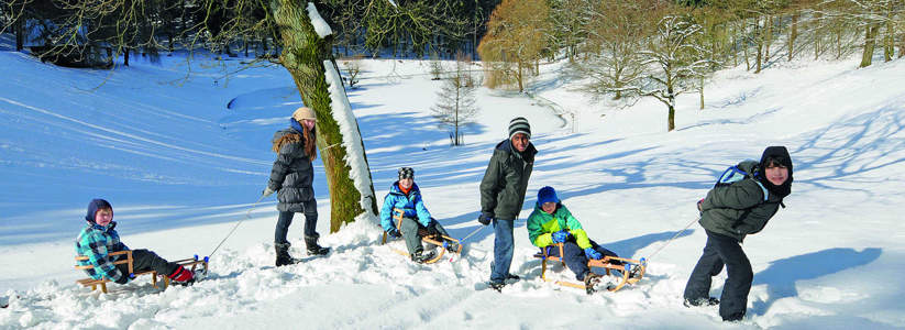 Rodelspaß im Wildpark Schwarze Berge, Schnee, Winter, Veranstaltung, Schlitten, Kinder, Familie, Freigehege